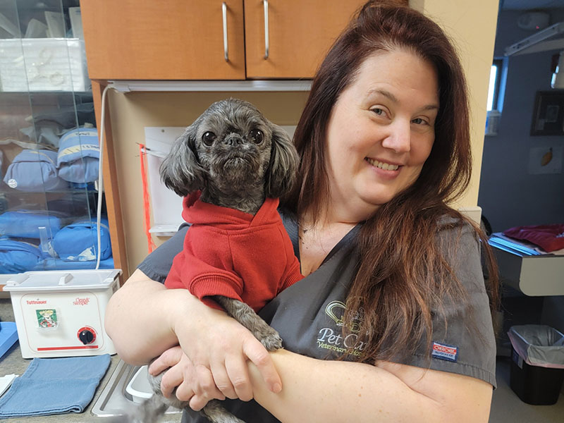 Vet holds dog in red hoodie.