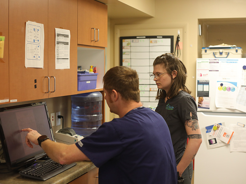 Two veterinary workers collaborating.